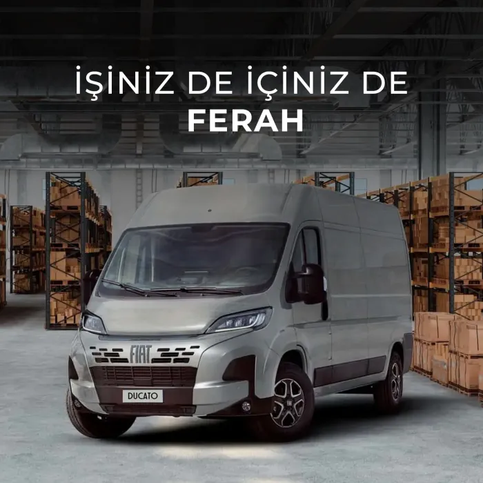 Ducato Van
